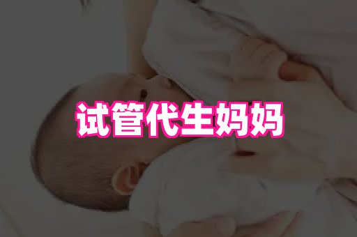 nub孕网 4